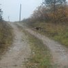 dscn0357_ 